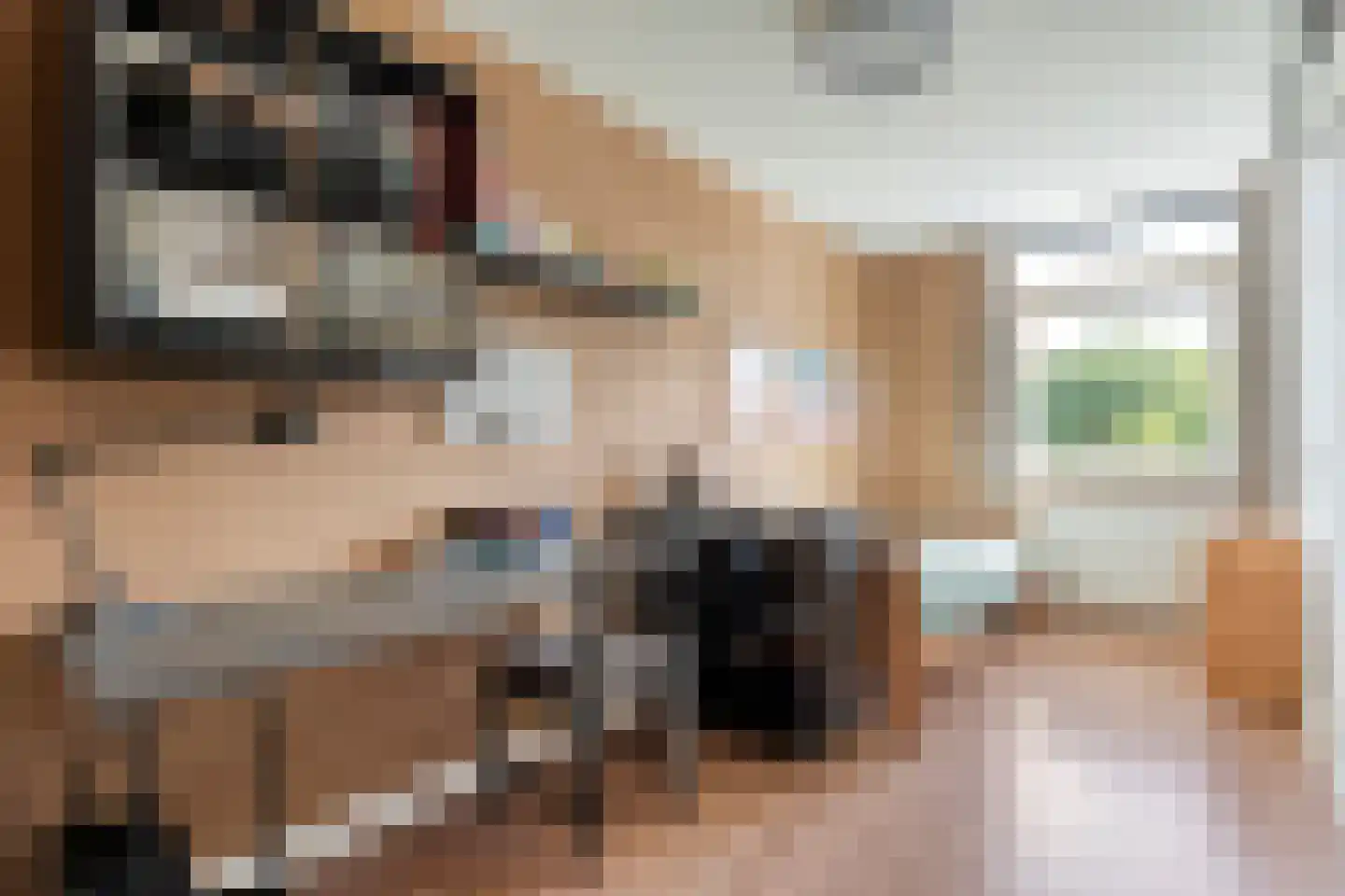 Boekweitstraat 17 Slagharen thumbnail 30