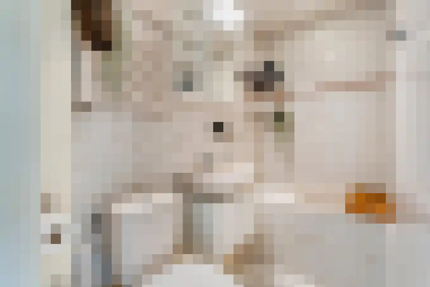 Boekweitstraat 17 Slagharen thumbnail 32