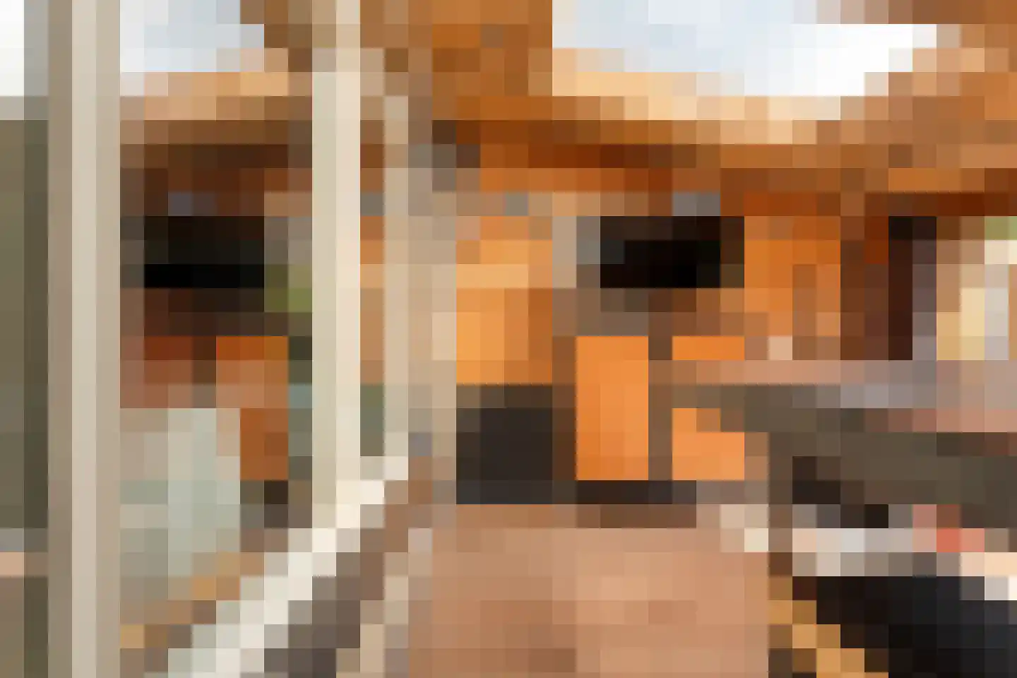 Boekweitstraat 17 Slagharen thumbnail 34