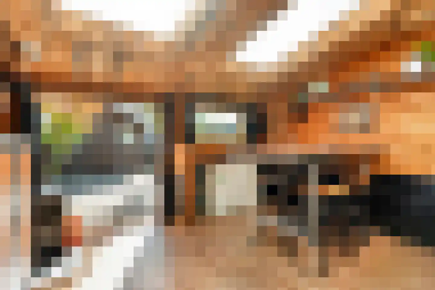 Boekweitstraat 17 Slagharen thumbnail 35