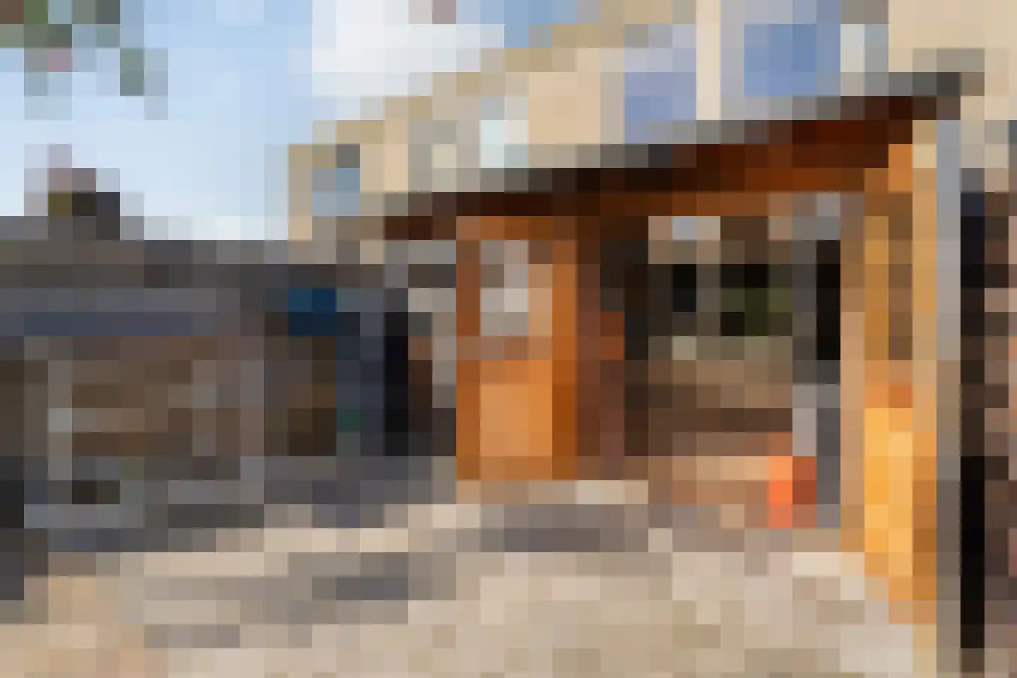 Boekweitstraat 17 Slagharen thumbnail 36