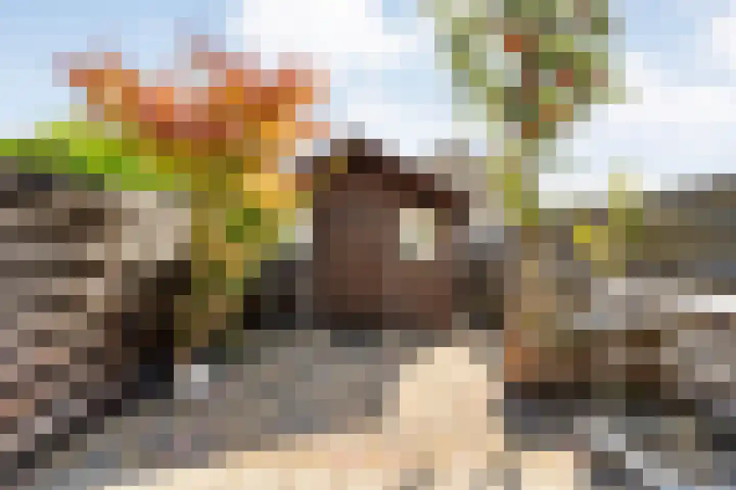 Boekweitstraat 17 Slagharen thumbnail 38