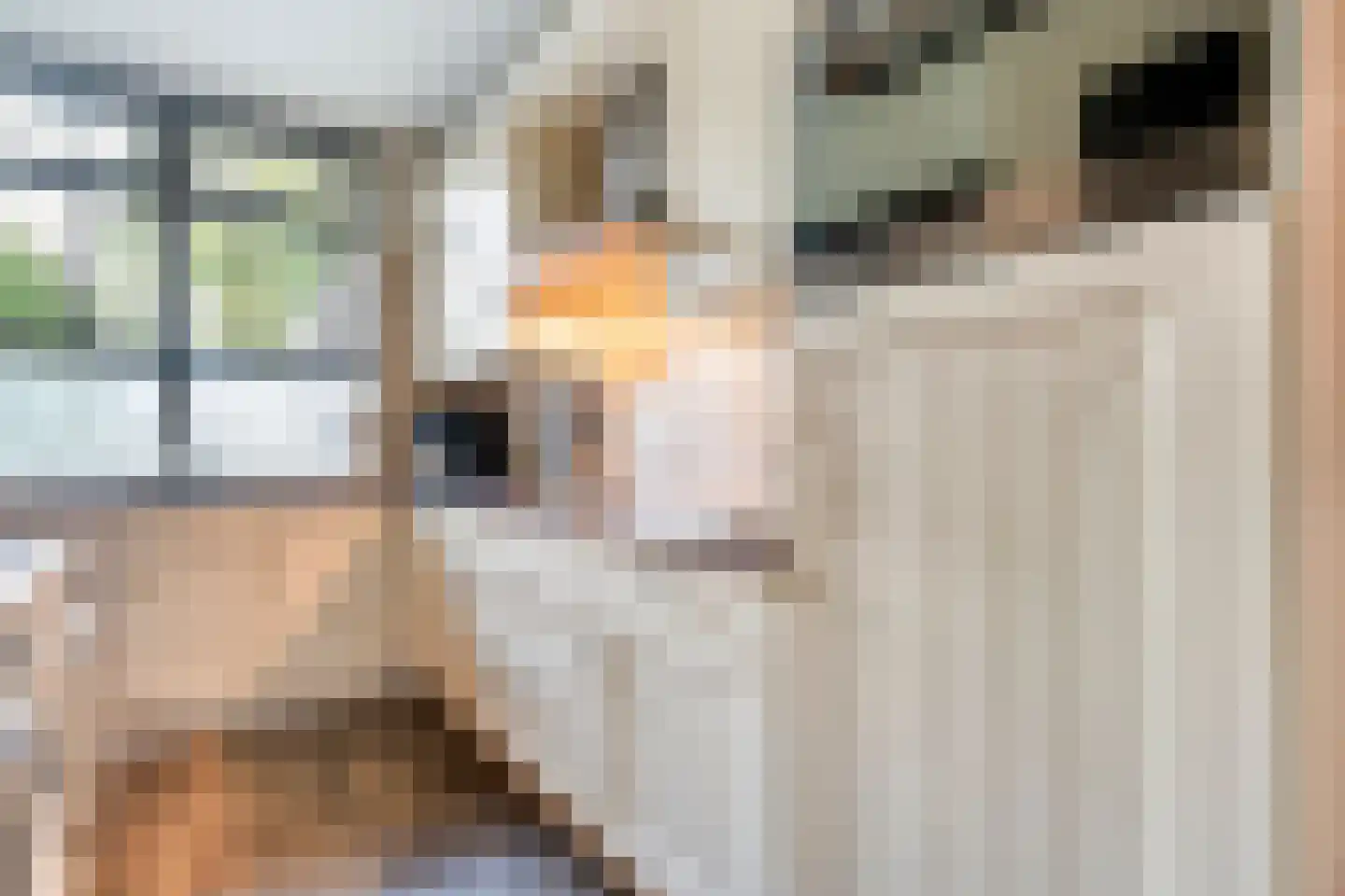 Boekweitstraat 17 Slagharen thumbnail 4