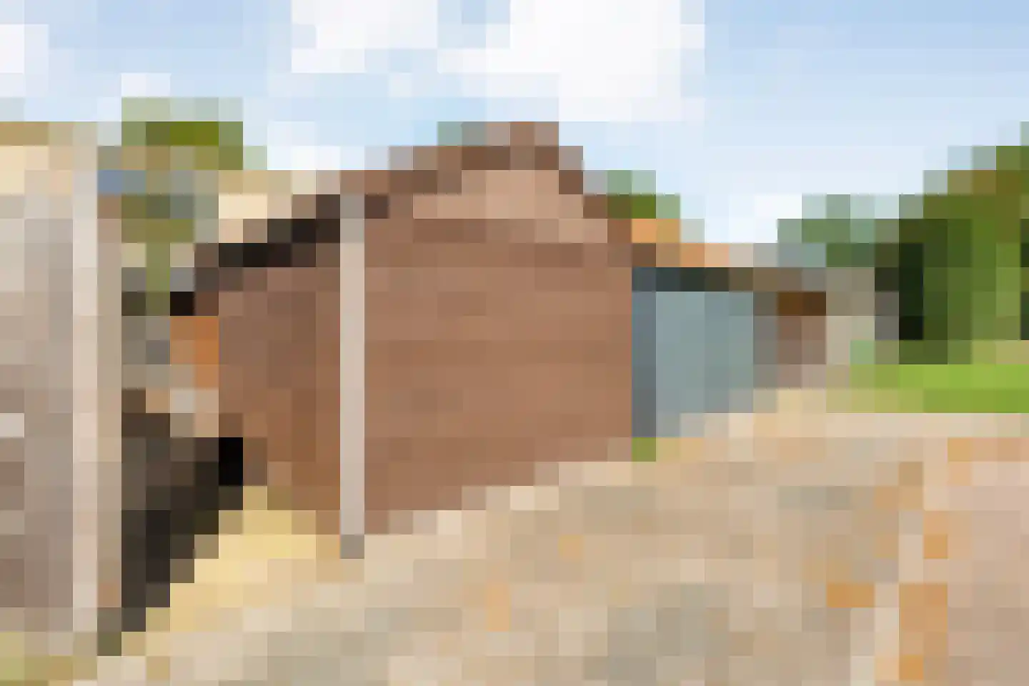 Boekweitstraat 17 Slagharen thumbnail 40