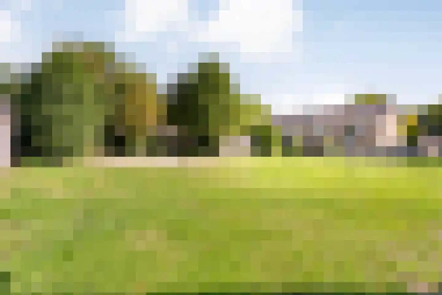 Boekweitstraat 17 Slagharen thumbnail 42