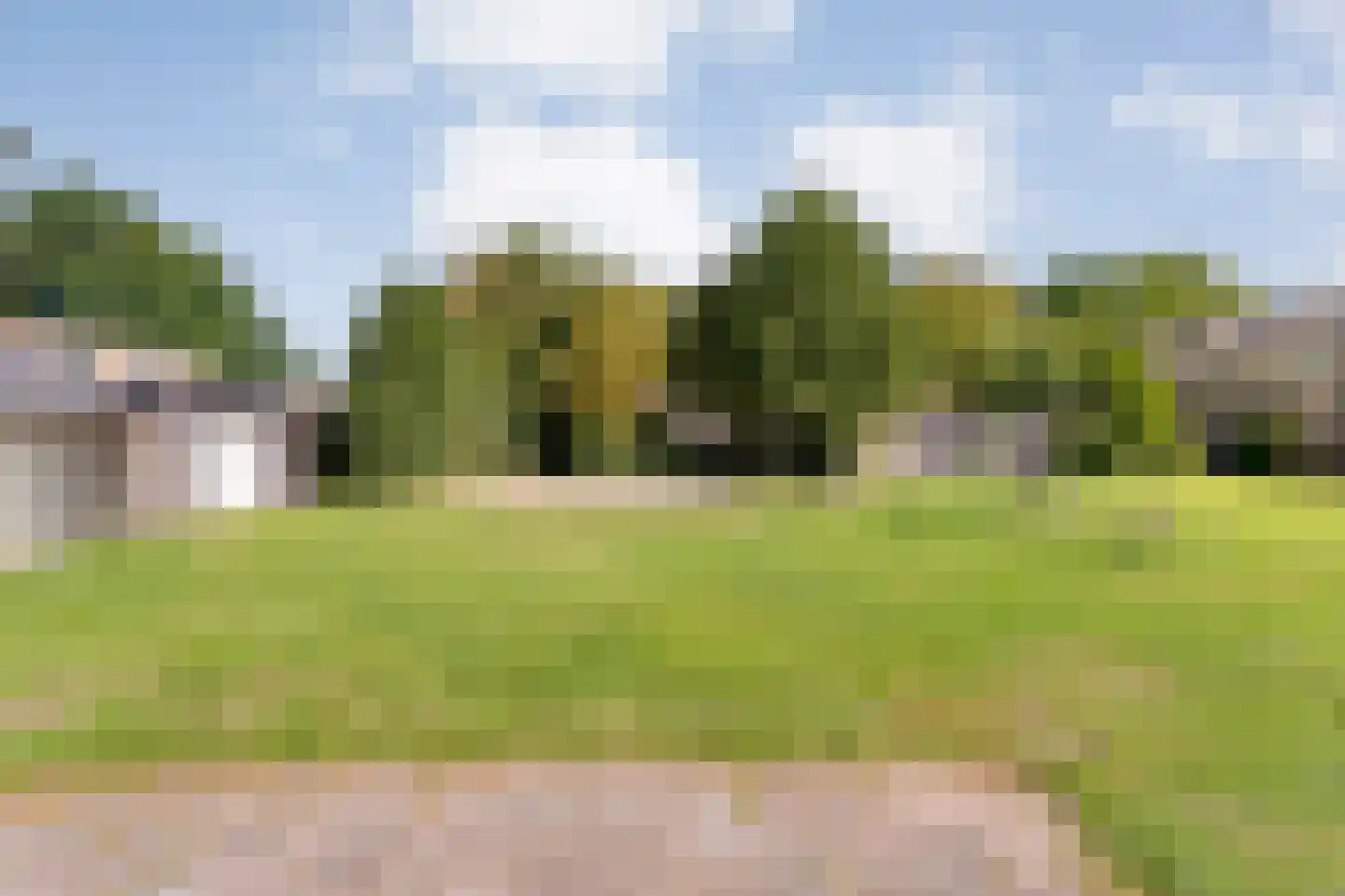 Boekweitstraat 17 Slagharen thumbnail 43