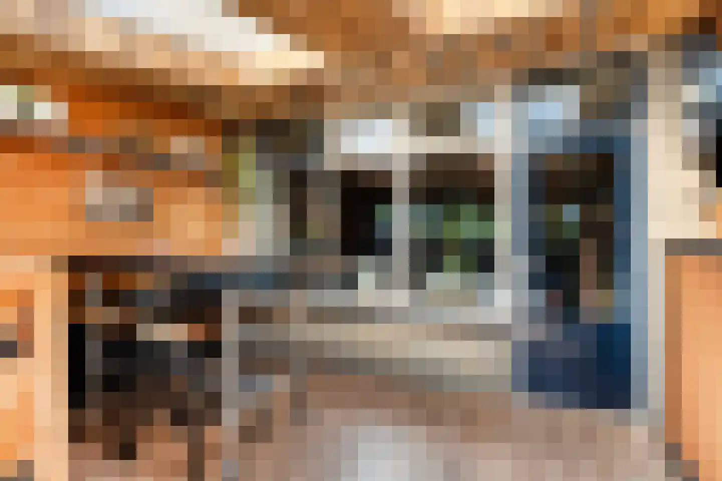 Boekweitstraat 17 Slagharen thumbnail 5