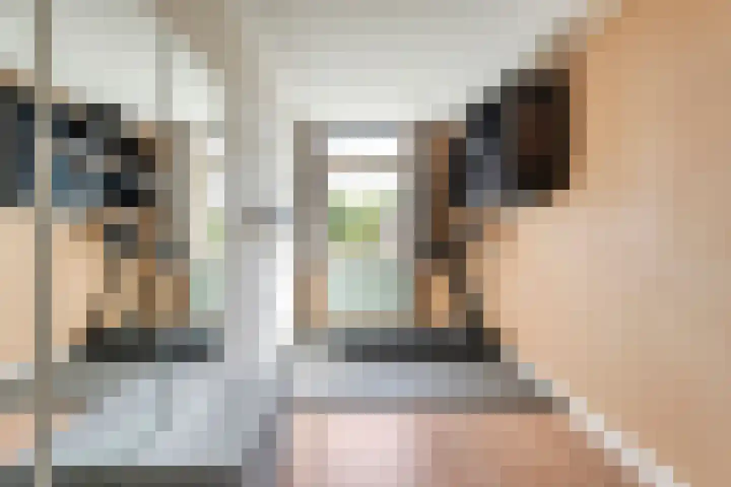 Boekweitstraat 17 Slagharen thumbnail 6