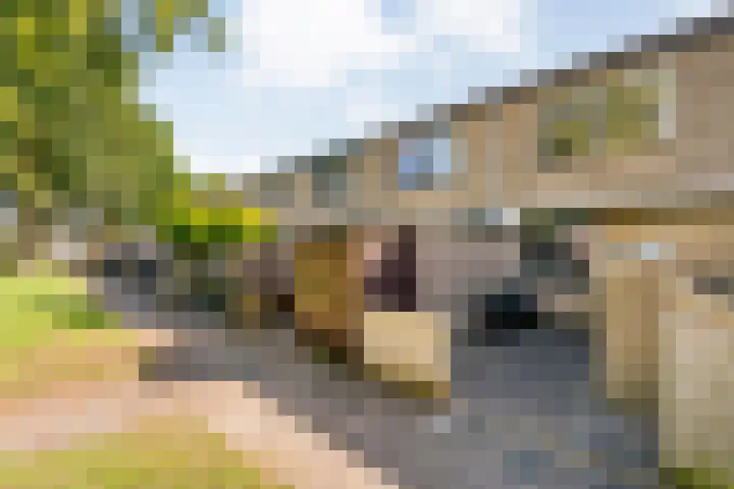 Boekweitstraat 17 Slagharen thumbnail 8