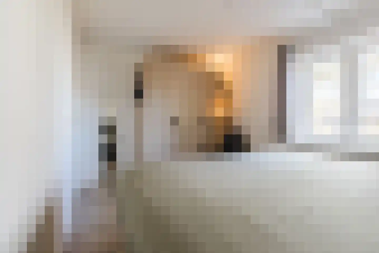 Boekweitstraat 19 Tilburg thumbnail 17