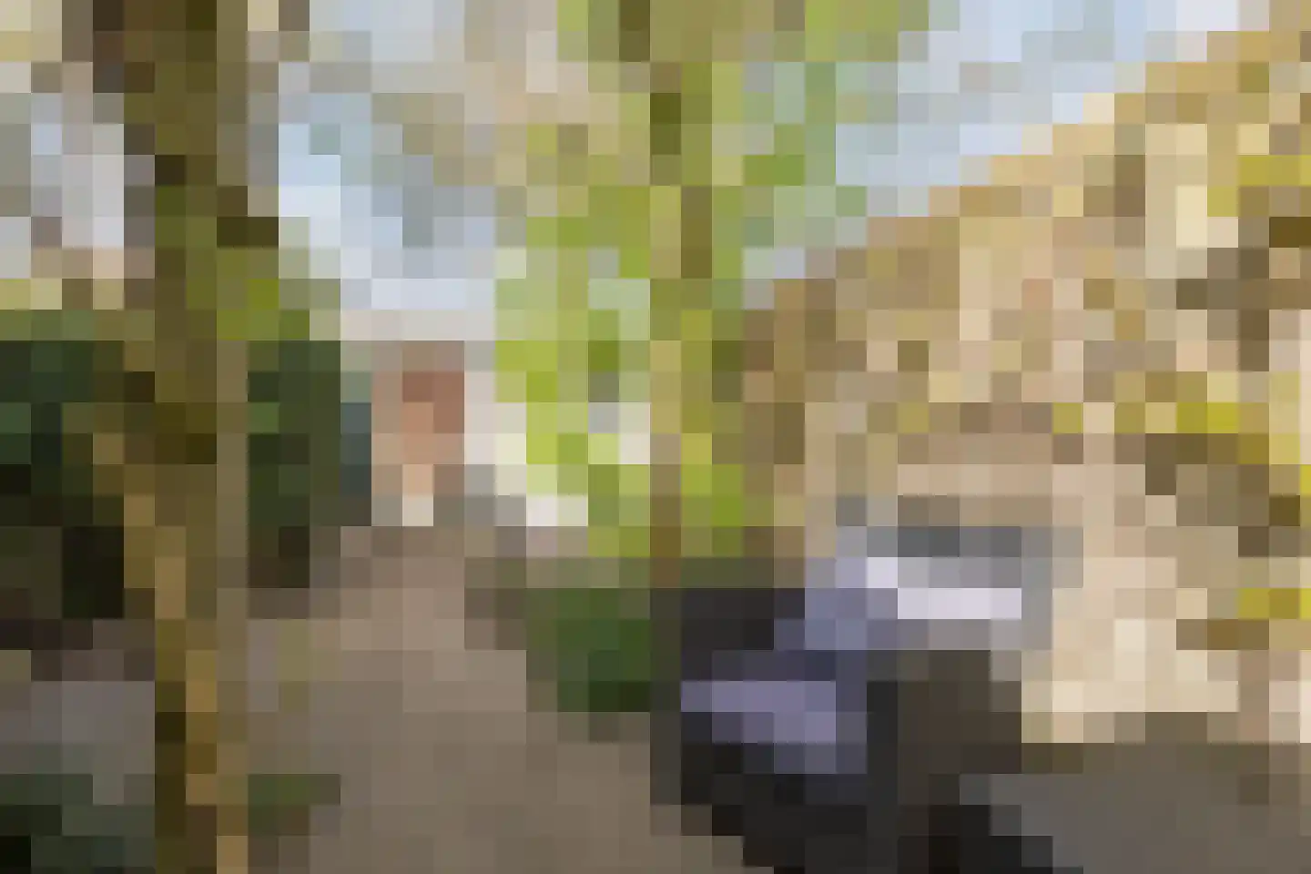 Boekweitstraat 19 Tilburg thumbnail 25