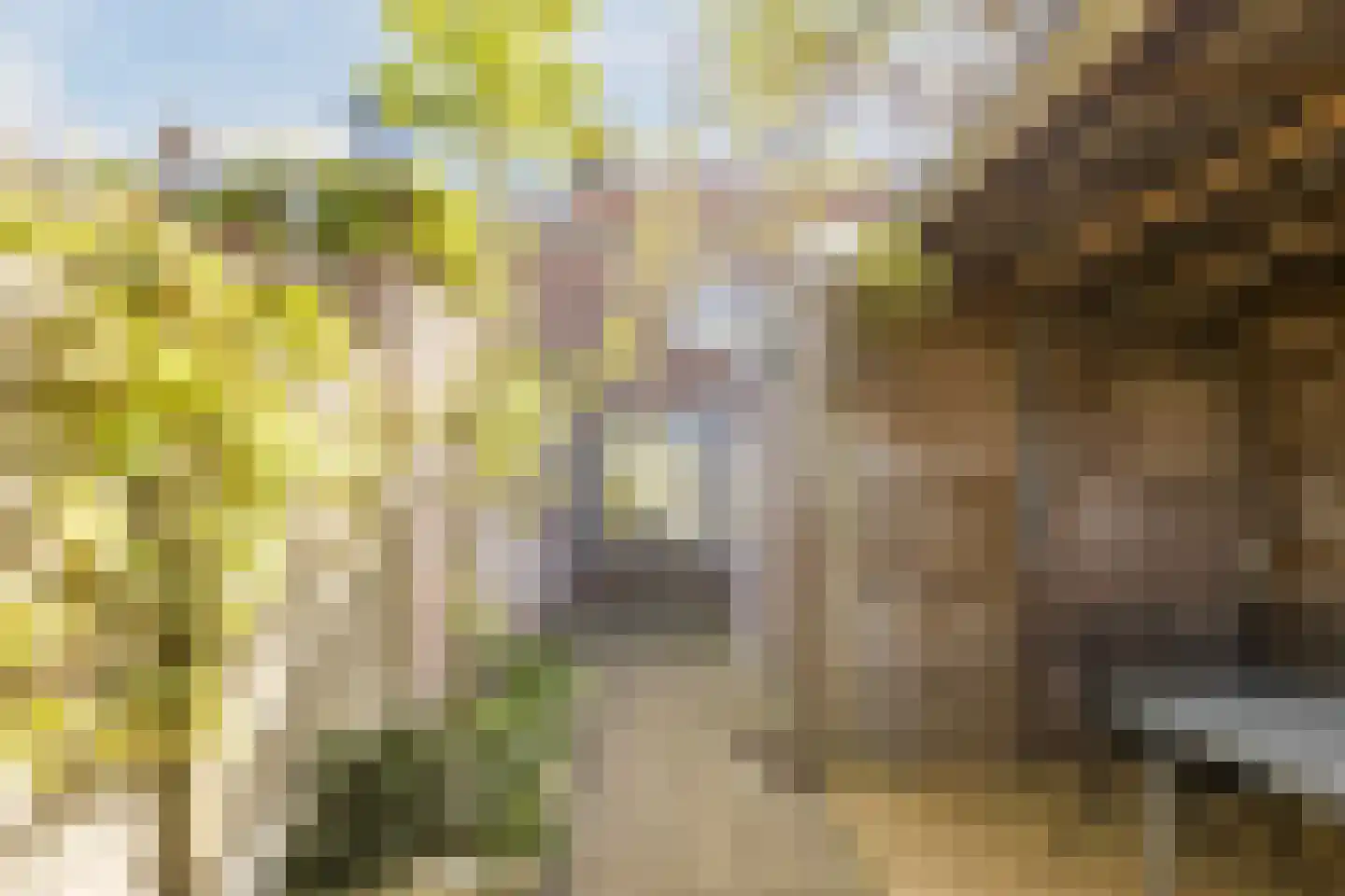 Boekweitstraat 19 Tilburg thumbnail 26