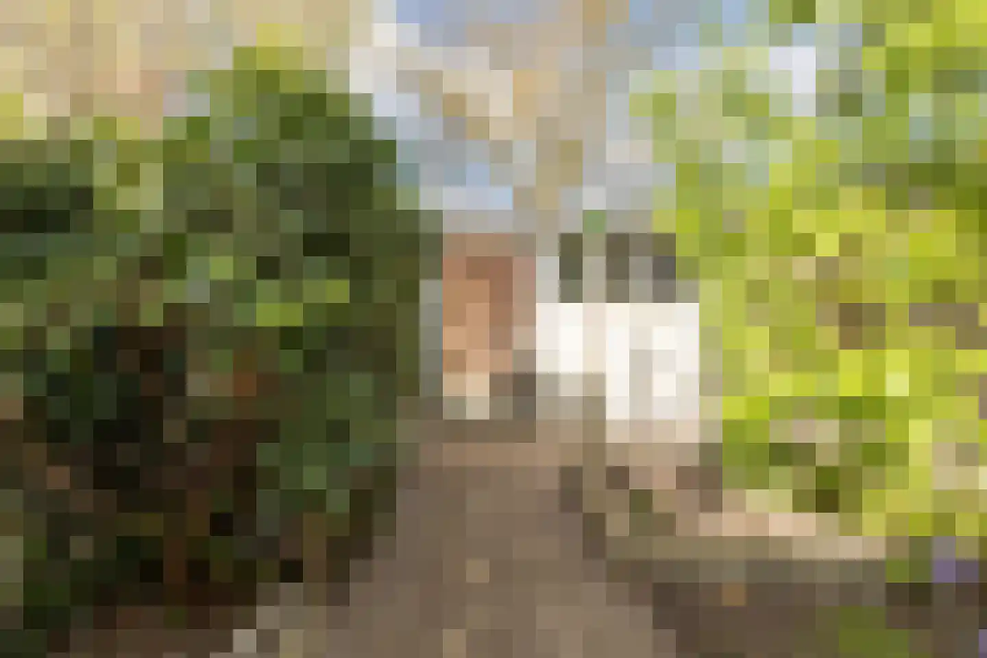 Boekweitstraat 19 Tilburg thumbnail 27