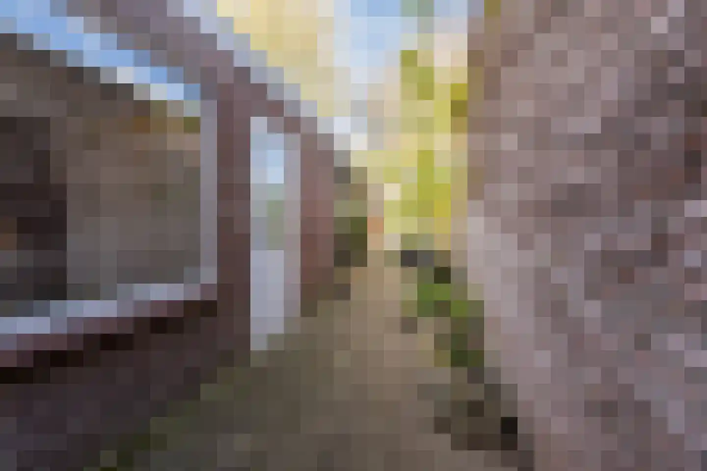 Boekweitstraat 19 Tilburg thumbnail 30