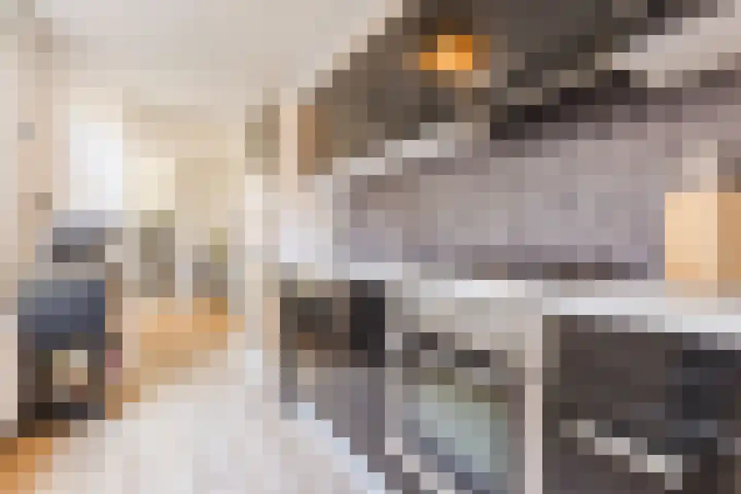 Boekweitstraat 19 Tilburg thumbnail 4
