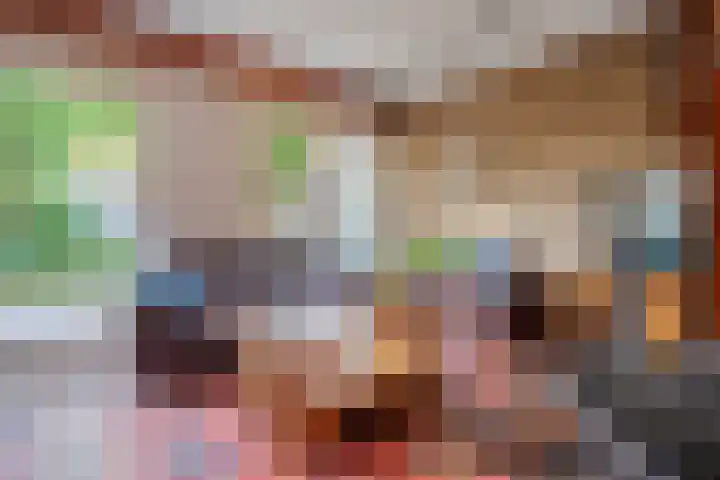 Boekweitstraat 22 Slagharen thumbnail 10