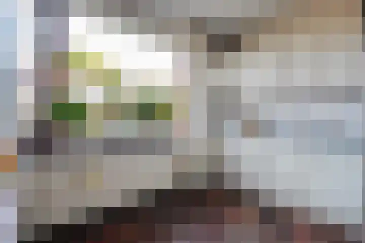 Boekweitstraat 22 Slagharen thumbnail 15