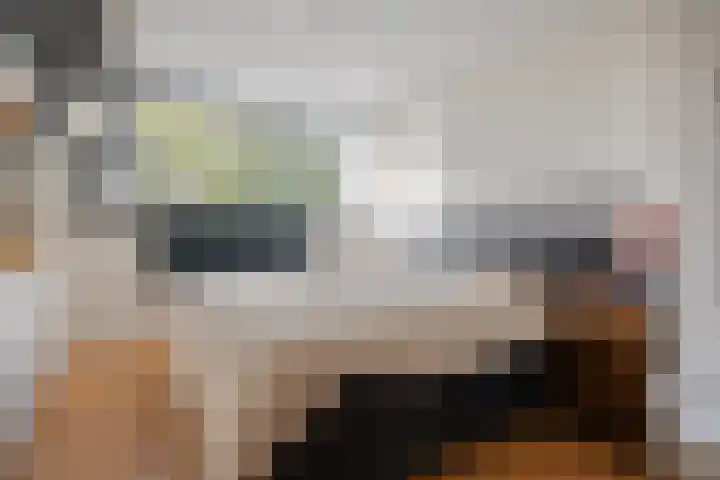Boekweitstraat 22 Slagharen thumbnail 19