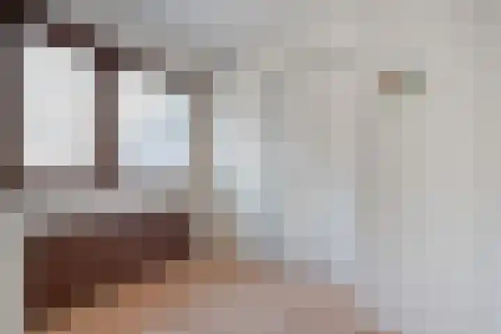 Boekweitstraat 22 Slagharen thumbnail 22