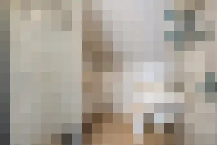 Boekweitstraat 22 Slagharen thumbnail 23