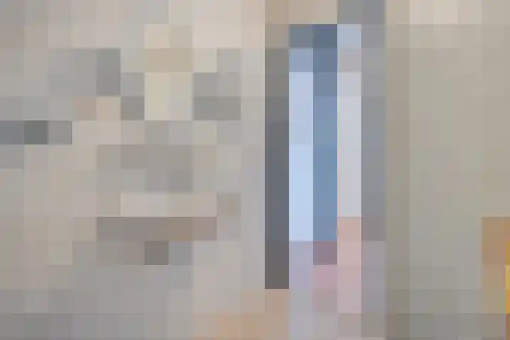 Boekweitstraat 22 Slagharen thumbnail 25