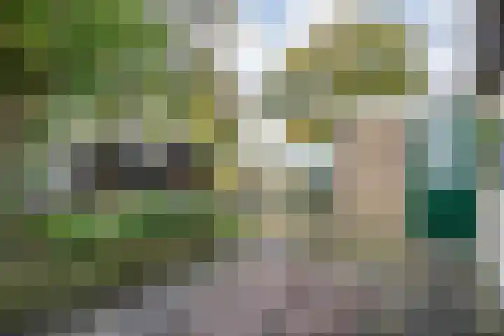 Boekweitstraat 22 Slagharen thumbnail 26
