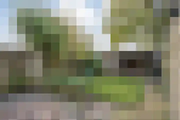 Boekweitstraat 22 Slagharen thumbnail 27