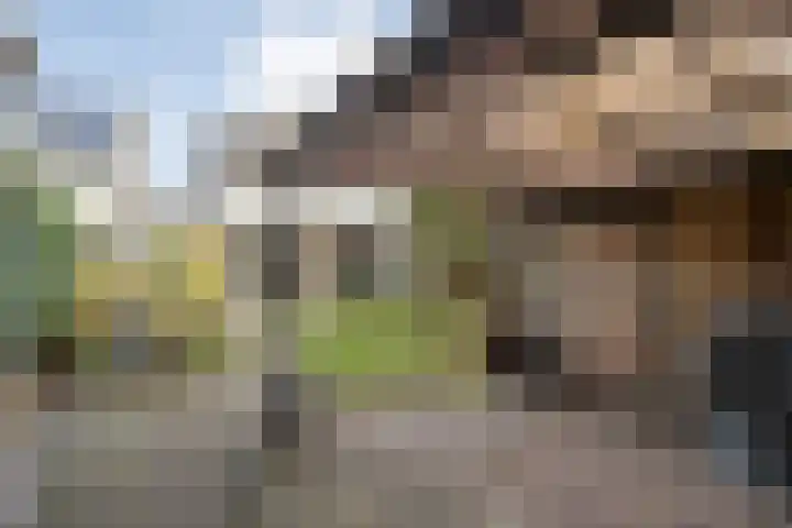 Boekweitstraat 22 Slagharen thumbnail 28