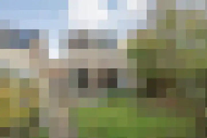 Boekweitstraat 22 Slagharen thumbnail 30
