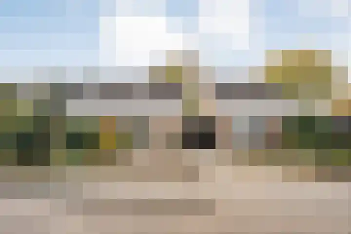 Boekweitstraat 22 Slagharen thumbnail 31