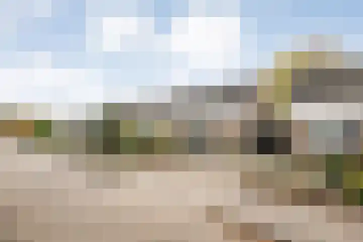 Boekweitstraat 22 Slagharen thumbnail 32