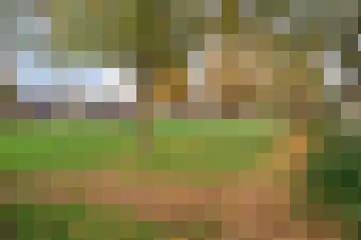 Boekweitstraat 22 Slagharen thumbnail 35