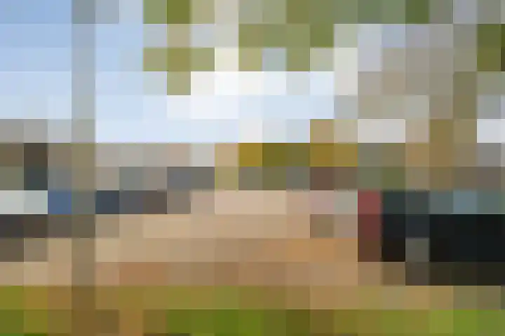 Boekweitstraat 22 Slagharen thumbnail 36