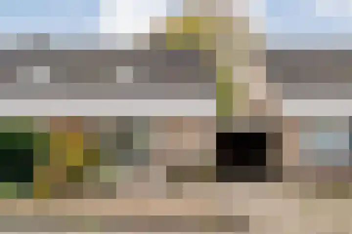 Boekweitstraat 22 Slagharen thumbnail 4