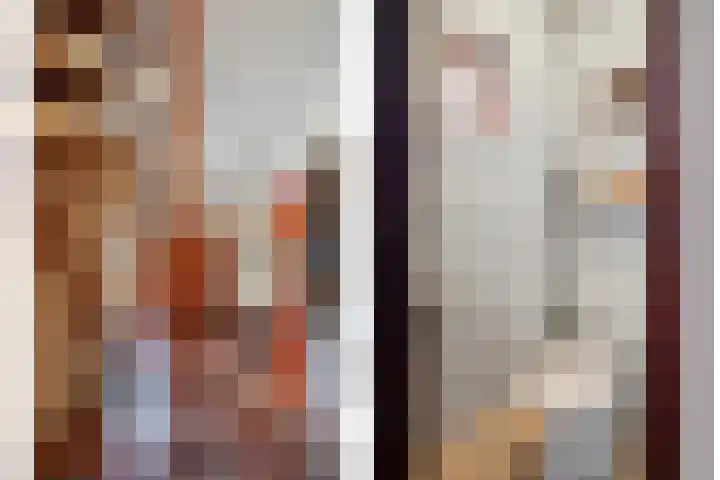 Boekweitstraat 22 Slagharen thumbnail 6