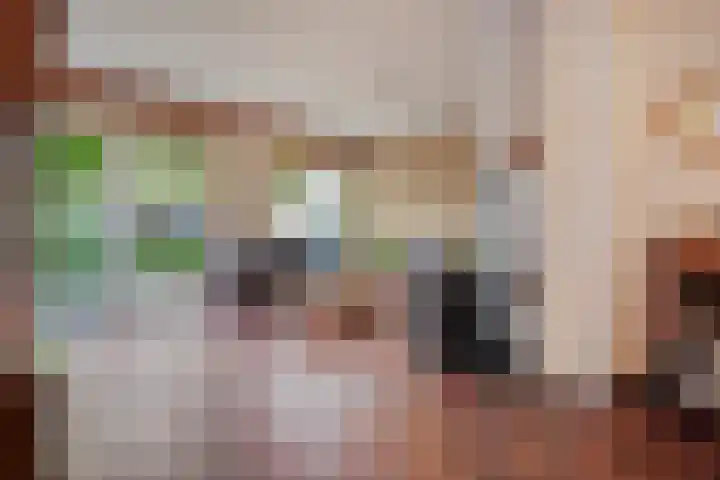 Boekweitstraat 22 Slagharen thumbnail 8
