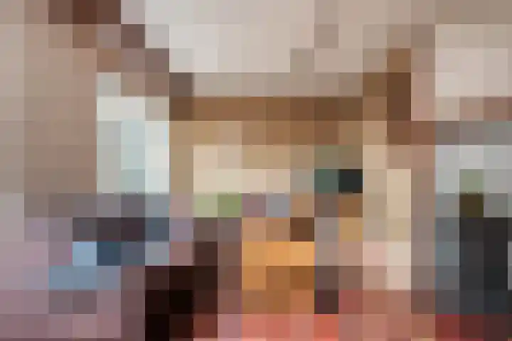 Boekweitstraat 22 Slagharen thumbnail 9