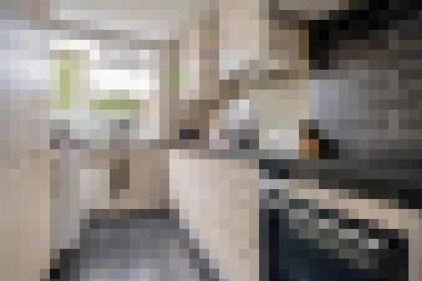 Boekweitstraat 27 Slagharen thumbnail 11