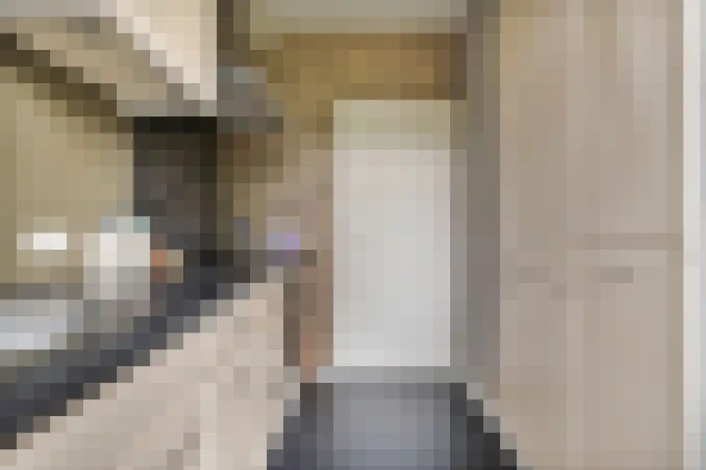 Boekweitstraat 27 Slagharen thumbnail 12