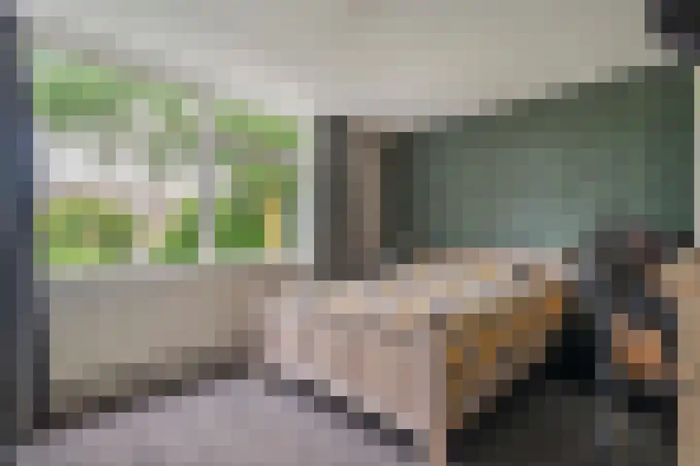Boekweitstraat 27 Slagharen thumbnail 16