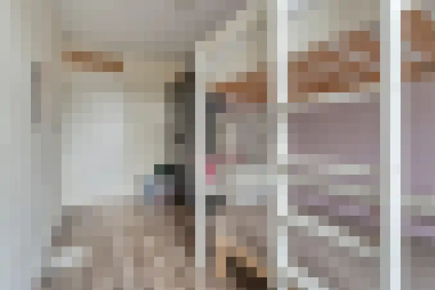 Boekweitstraat 27 Slagharen thumbnail 18