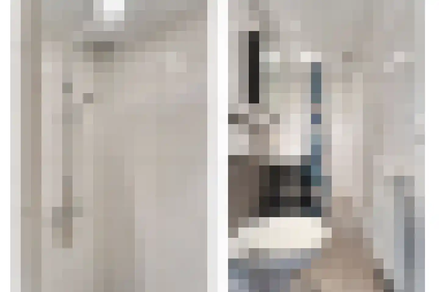 Boekweitstraat 27 Slagharen thumbnail 23