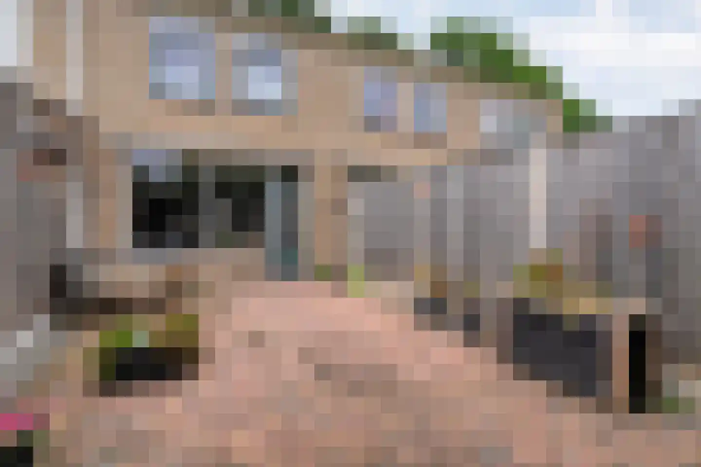 Boekweitstraat 27 Slagharen thumbnail 26