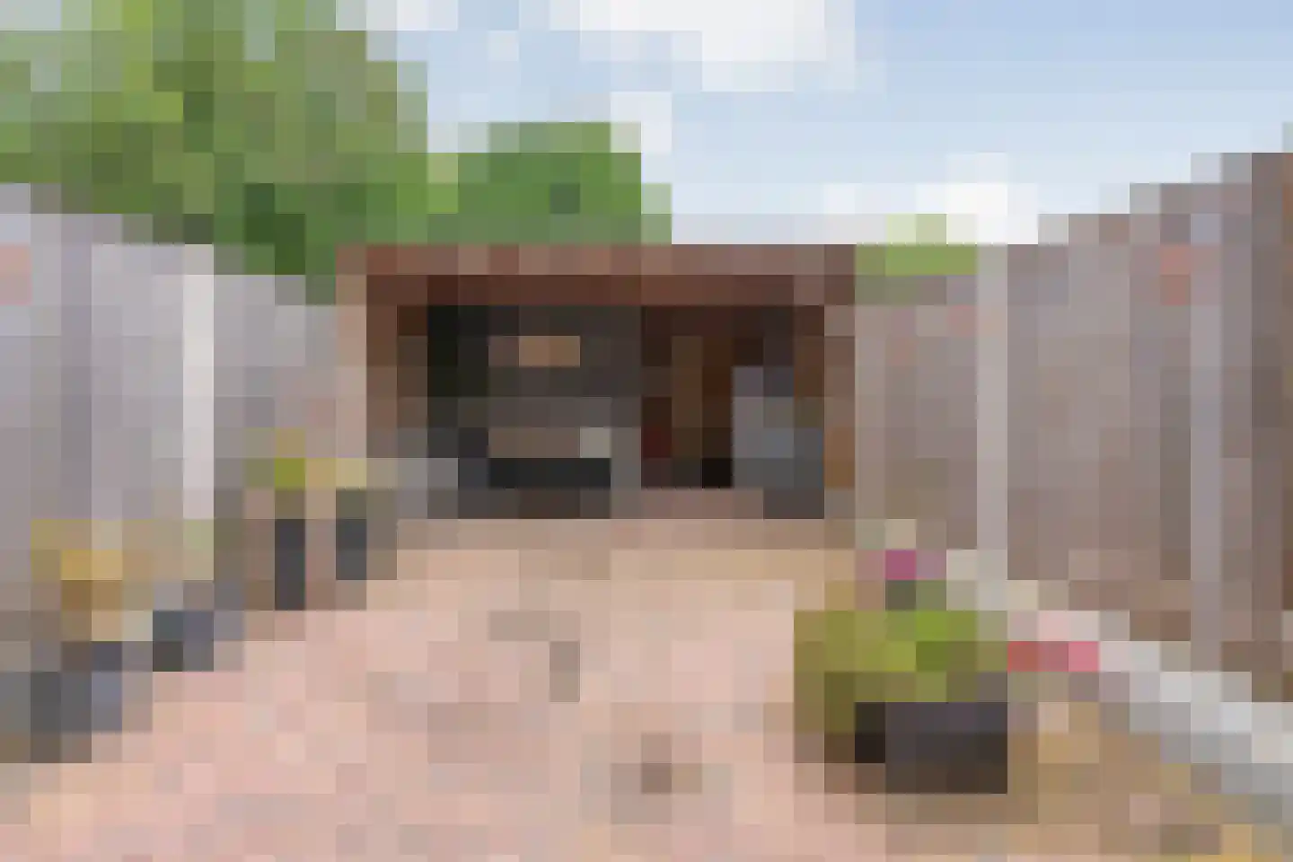 Boekweitstraat 27 Slagharen thumbnail 27