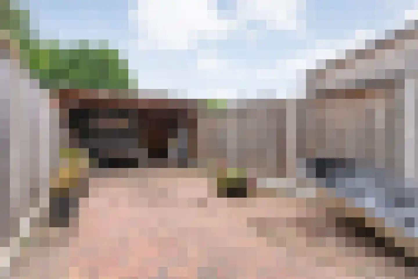 Boekweitstraat 27 Slagharen thumbnail 28