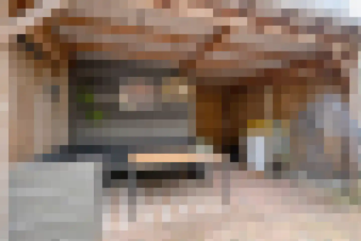 Boekweitstraat 27 Slagharen thumbnail 29