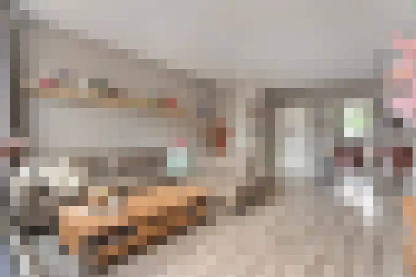 Boekweitstraat 27 Slagharen thumbnail 6