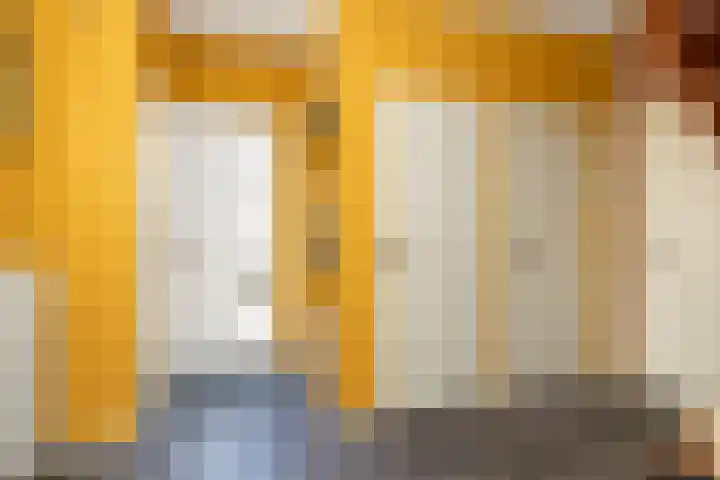 Boekweitstraat 3 Zuidwolde thumbnail 25