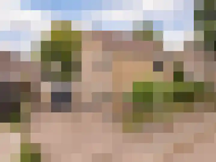 Boekweitstraat 3 Zuidwolde thumbnail 6