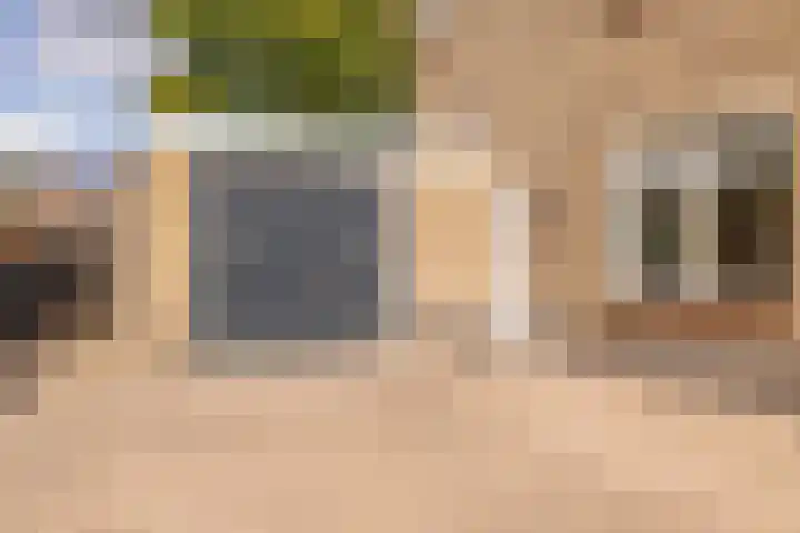 Boekweitstraat 3 Zuidwolde thumbnail 7